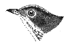 Ovenbird
