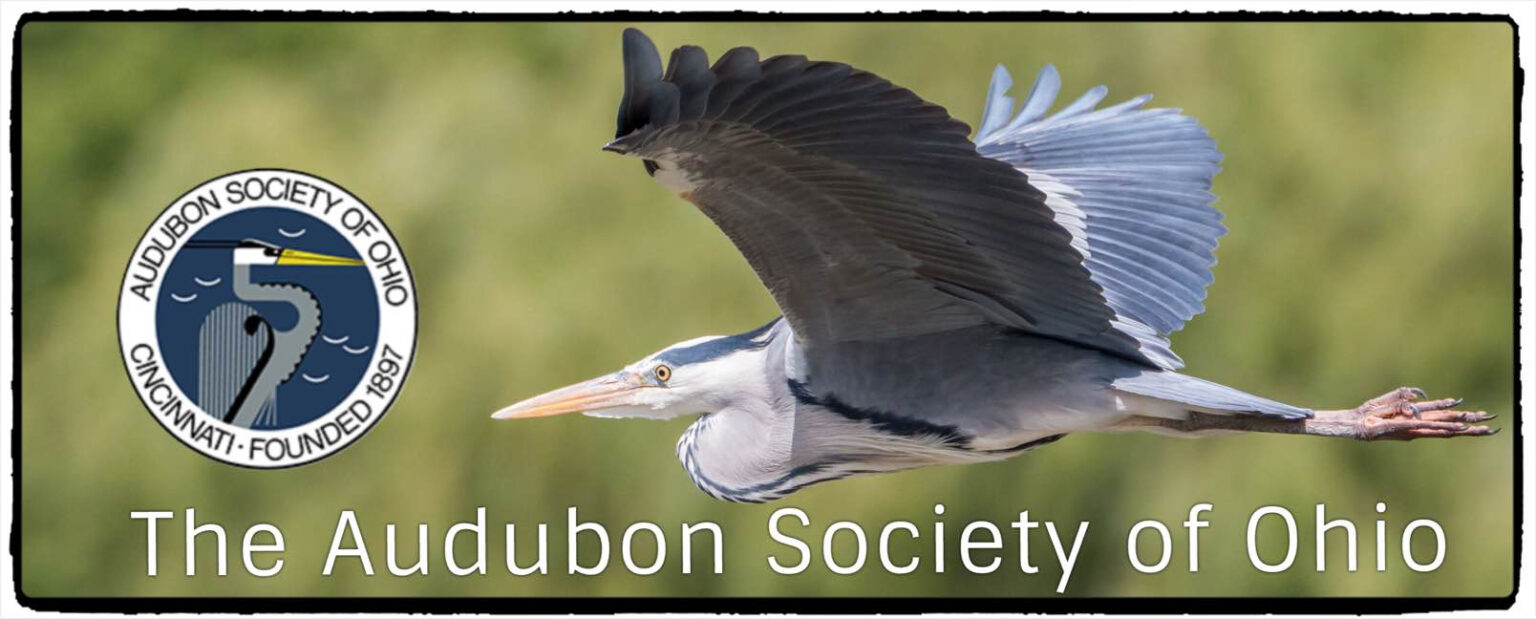 THE OHIO BLUEBIRD SOCIETY ANNUAL CONFERENCE. March 1, 2025 The